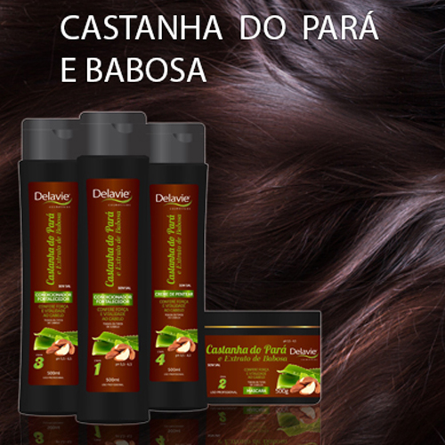 Castanha do Pará e Babosa
